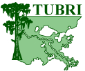 TUBRI